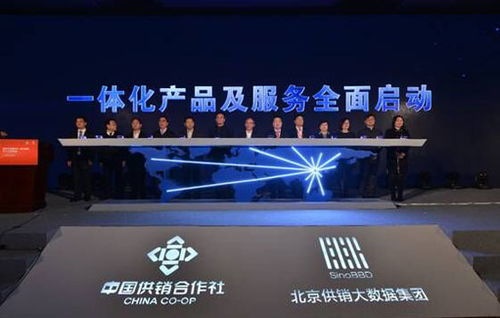 智慧協同，數據賦能——大數據服務助推北京“四個中心”建設
